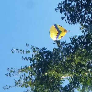 Meet your Posher, Bailey